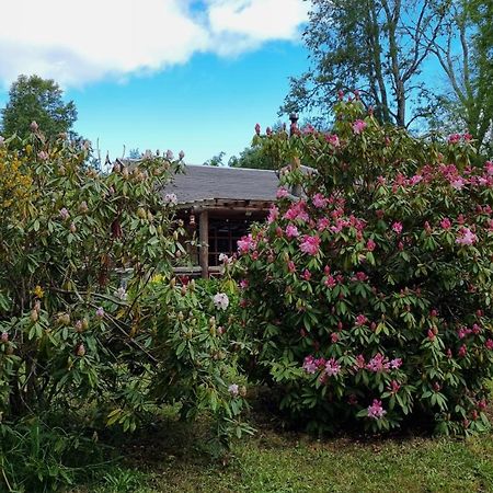 La Casa Del Arbol Villarrica Cabanas-Piscina-Tinajas Εξωτερικό φωτογραφία