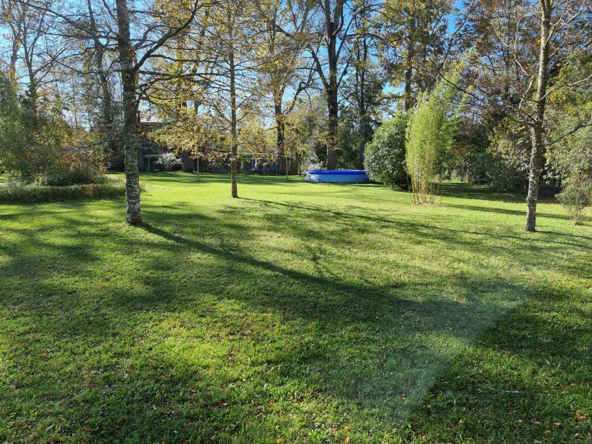 La Casa Del Arbol Villarrica Cabanas-Piscina-Tinajas Εξωτερικό φωτογραφία