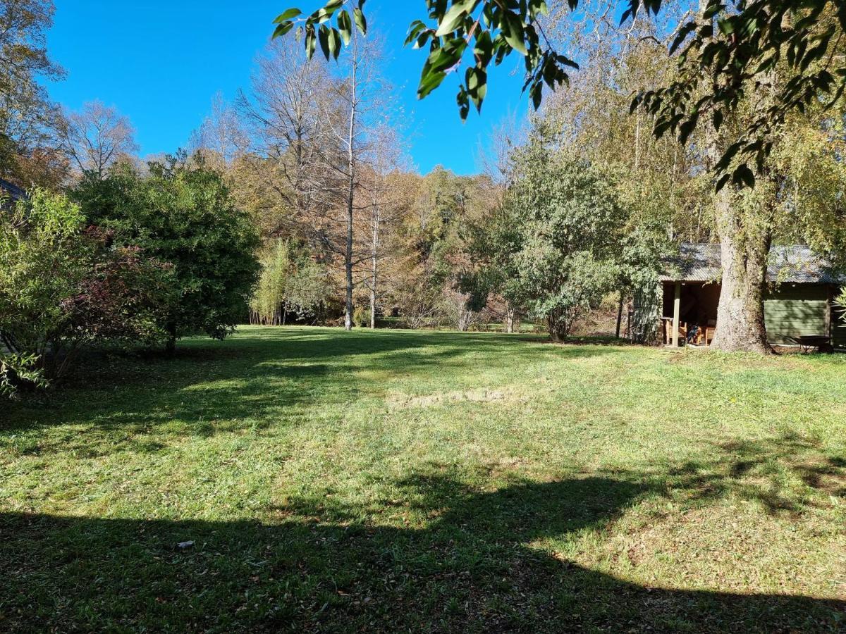 La Casa Del Arbol Villarrica Cabanas-Piscina-Tinajas Εξωτερικό φωτογραφία