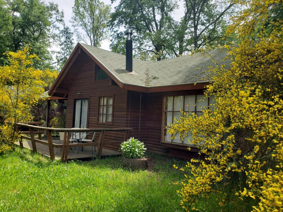 La Casa Del Arbol Villarrica Cabanas-Piscina-Tinajas Εξωτερικό φωτογραφία