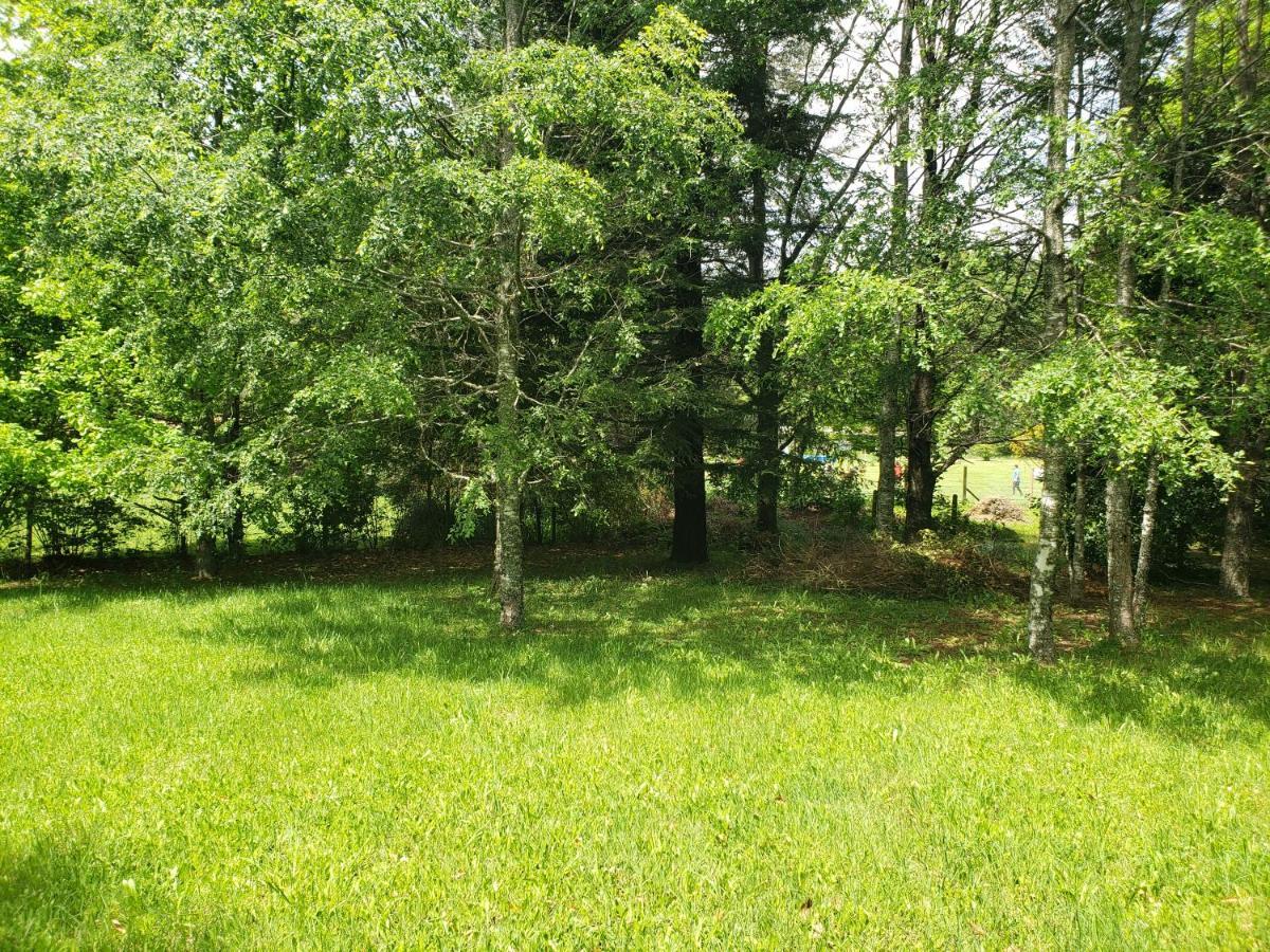 La Casa Del Arbol Villarrica Cabanas-Piscina-Tinajas Εξωτερικό φωτογραφία