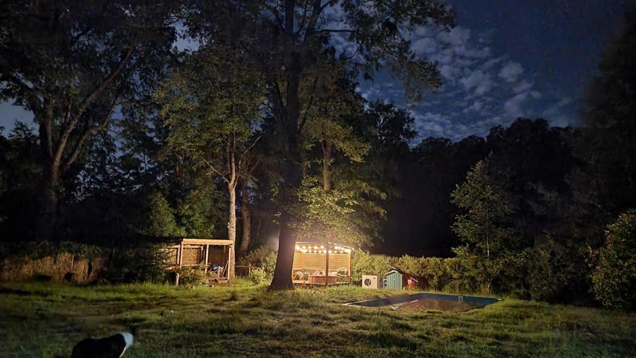 La Casa Del Arbol Villarrica Cabanas-Piscina-Tinajas Εξωτερικό φωτογραφία