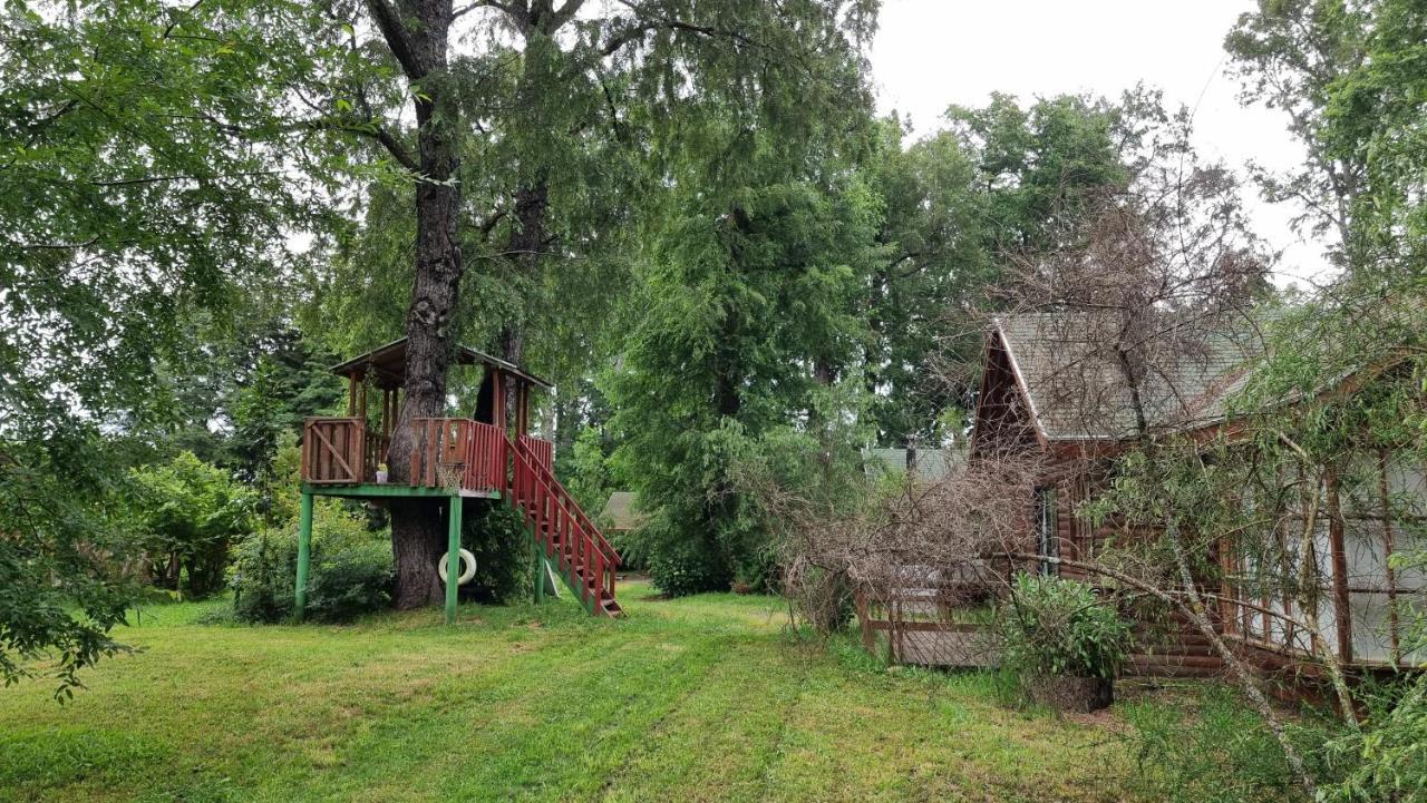 La Casa Del Arbol Villarrica Cabanas-Piscina-Tinajas Εξωτερικό φωτογραφία