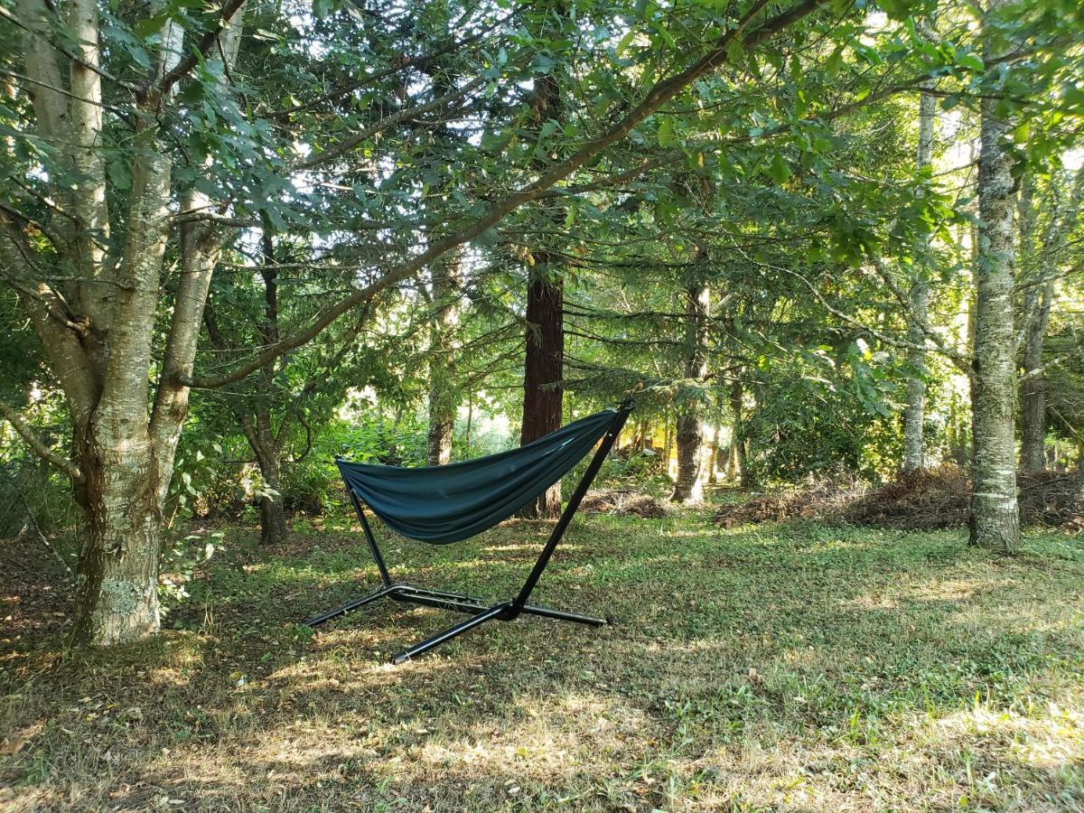 La Casa Del Arbol Villarrica Cabanas-Piscina-Tinajas Εξωτερικό φωτογραφία