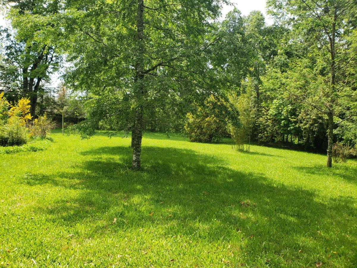 La Casa Del Arbol Villarrica Cabanas-Piscina-Tinajas Εξωτερικό φωτογραφία