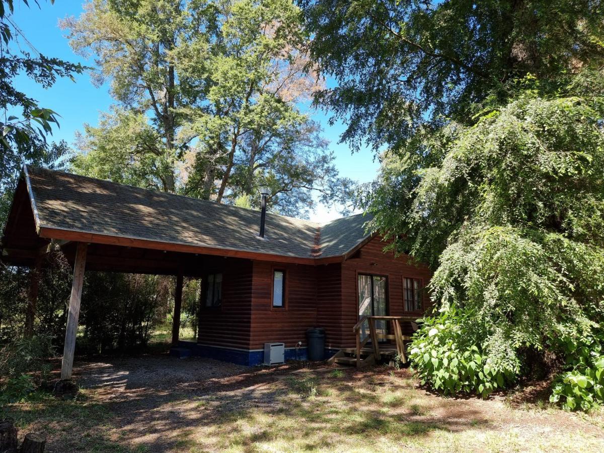 La Casa Del Arbol Villarrica Cabanas-Piscina-Tinajas Εξωτερικό φωτογραφία