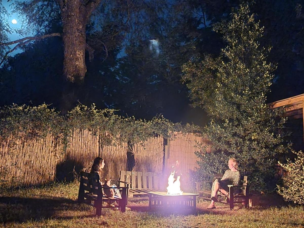 La Casa Del Arbol Villarrica Cabanas-Piscina-Tinajas Εξωτερικό φωτογραφία