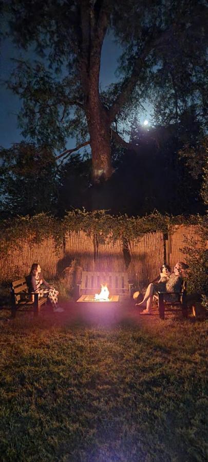 La Casa Del Arbol Villarrica Cabanas-Piscina-Tinajas Εξωτερικό φωτογραφία