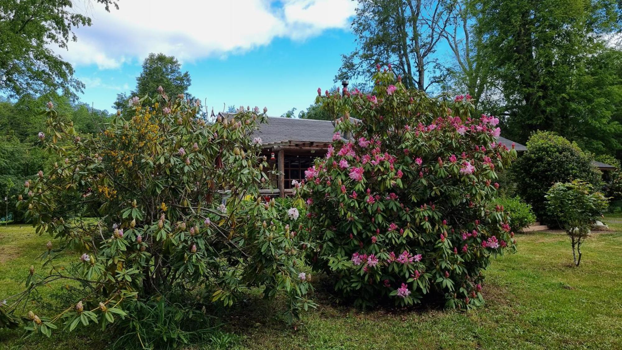 La Casa Del Arbol Villarrica Cabanas-Piscina-Tinajas Εξωτερικό φωτογραφία